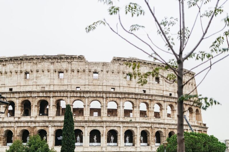 Rome: Colosseum, Palatine Hill & Roman Forum Guided Tour - Since Your Asked