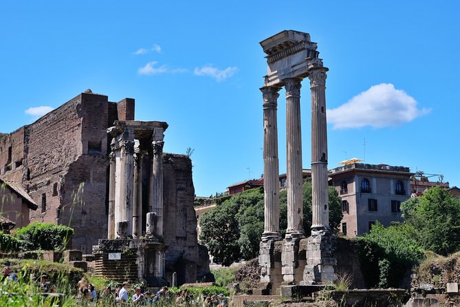 Rome: Colosseum, Roman Forum, and Palatine Hill Guided Tour - Tour Accessibility Considerations
