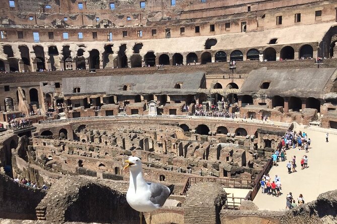 Rome Colosseum, Roman Forum, Palatine Guided Tour - Guest Reviews
