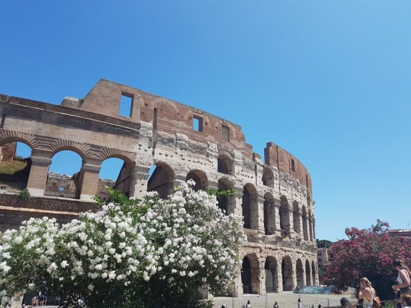 Rome: Colosseum Tour - Key Points