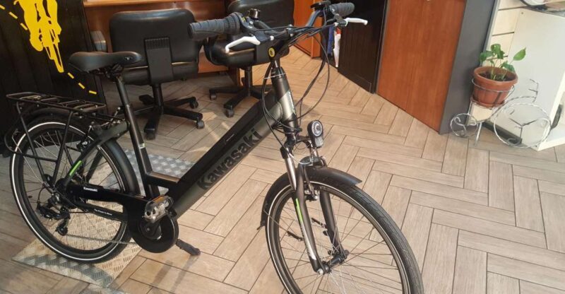 Rome: Electric Bike Rental - Overview of Electric Bike Rental in Rome