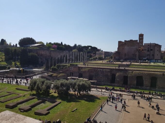Rome: Fast-Track Private Colosseum Arena & Palatine Hill - Pricing and Duration