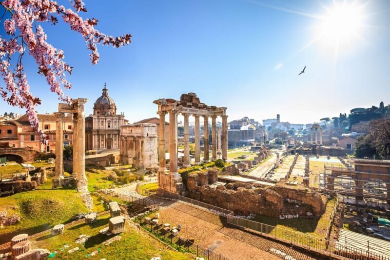 Rome: Guided Tour of Colosseum and Ancient Rome - Meeting Point and Important Information