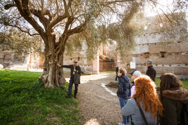 Rome: Hadrians Villa and Villa Deste Half-Day Tour - Villa Deste