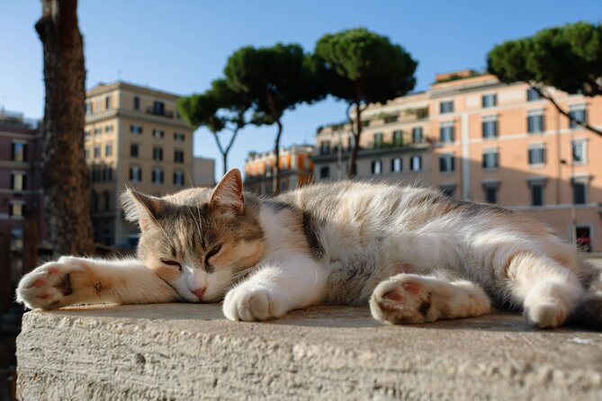Rome Half-Day Walking Tour With Fountains and Ancient Wonders - Key Points