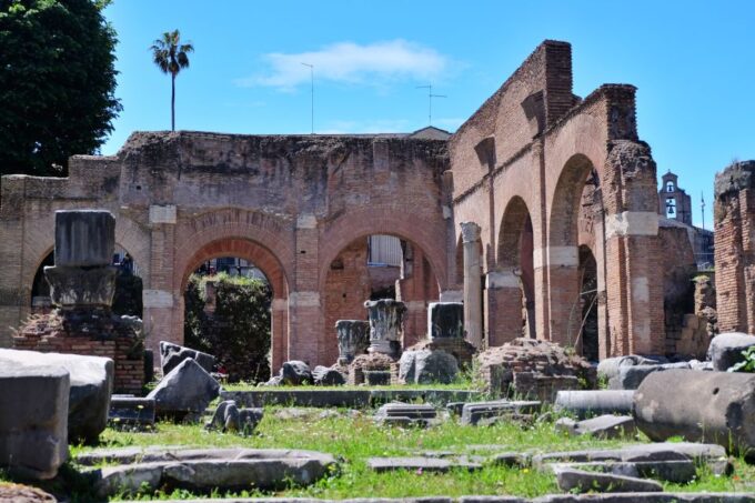 Rome: Introduction to the Colosseum and Ancient City Tour - Palatine Hills Historical Layers