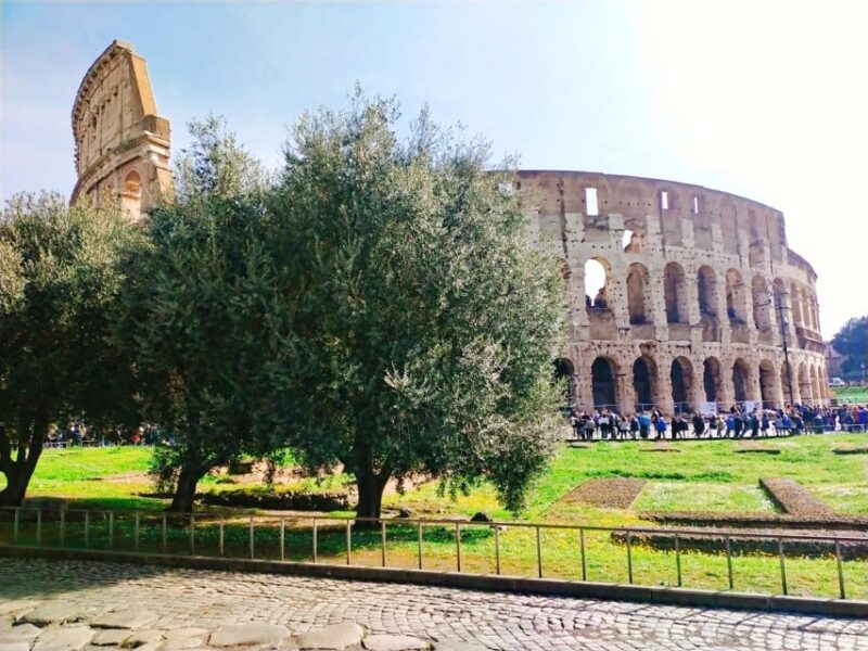 Rome: Masterclass Extra Virgin Olive Oil & Table Olives - Unique Features and Benefits