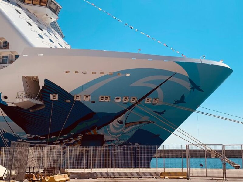 Rome: One-Way Private Transfer to Civitavecchia Port - Booking Information