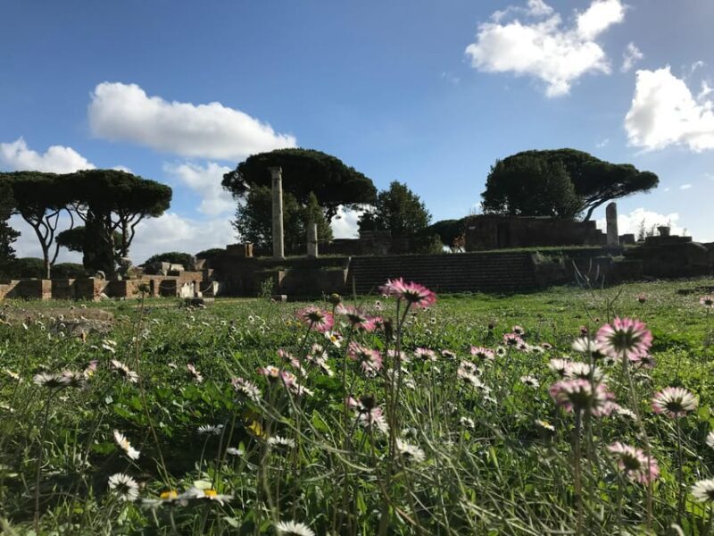 Rome: Ostia Antica Skip-The-Line Entry Ticket & Tour Option - Why Choose a Guided Tour?