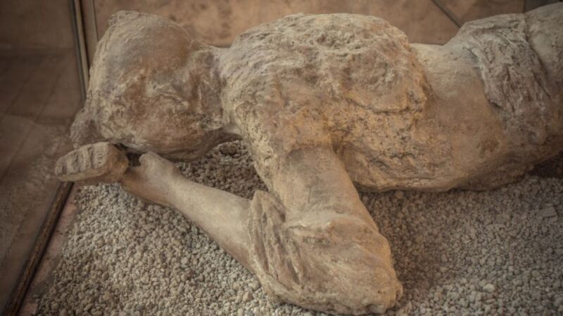 Rome: Pompeii Tour With Wine and Lunch by High Speed Train - Travel Logistics
