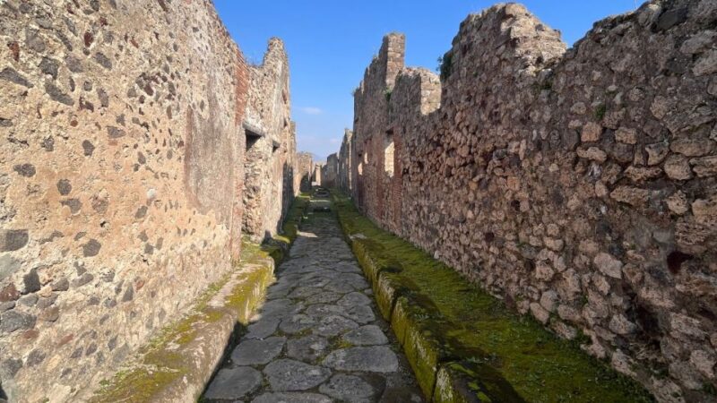 Rome: Pompeii Tour With Wine and Lunch by High Speed Train - Participant Information