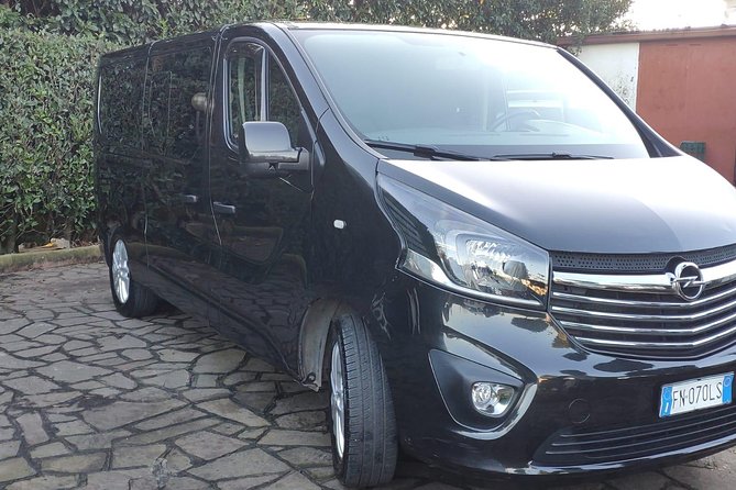 Rome Private Arrival Transfer: Fiumicino Airport to Hotel - Confirmation and Accessibility