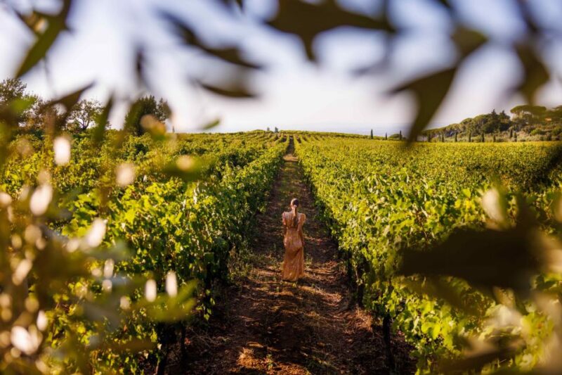 Rome: Private Countryside Wine Tasting Tour - Customer Ratings