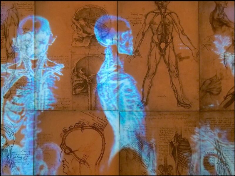 Rome: Private Leonardo Da Vinci Exhibition Guided Tour - Skip the Ticket Line