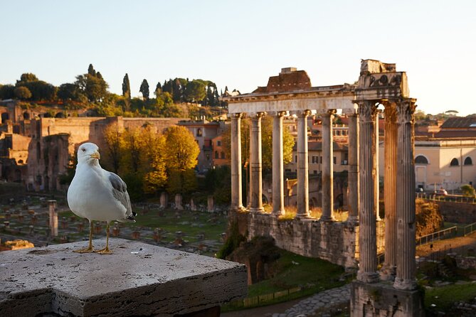 Rome: Queue-Jump Colosseum and Rome'S Ancient Forum - Booking Information