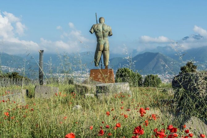Rome to Pompeii Guided Tour With Wine & Lunch by High Speed Train - Additional Information and Policies