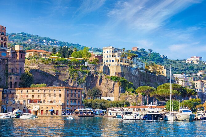 Rome to Pompeii & Sorrento: Private Day Trip - Booking Information