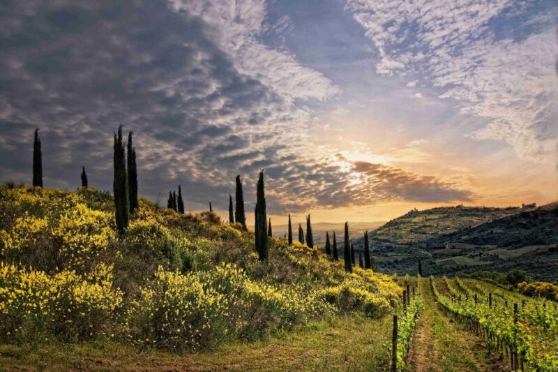 Rome to Tuscany: Private Chauffeur Transfer - Key Points