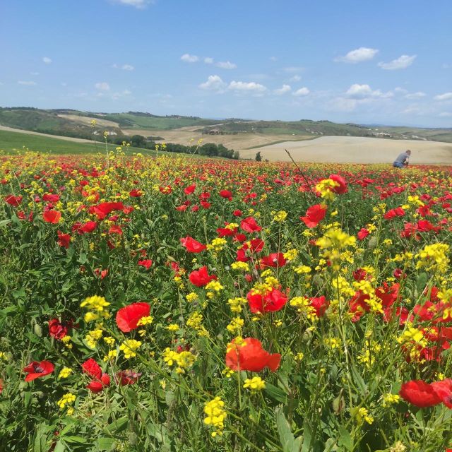 Rome to Tuscany: Private Chauffeur Transfer - Booking and Cancellation
