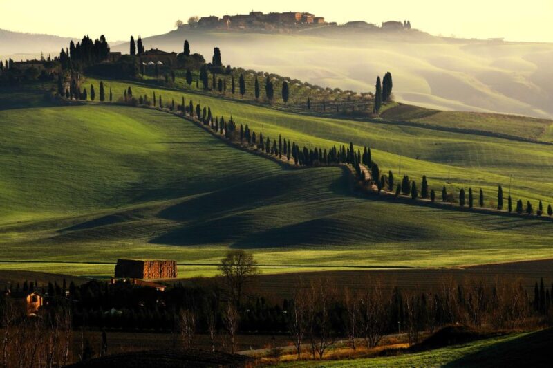 Rome to Tuscany: Private Chauffeur Transfer - Vehicle and Driver Information