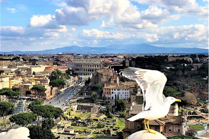 Rome Top Sites in 1 Day WOW Tour: Luxury Car, Tickets & Lunch - Priority Access Tickets