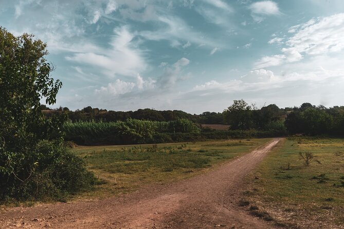 Rome Urban Hike in the Secret Caffarella Park Nature Paradise - Practical Considerations