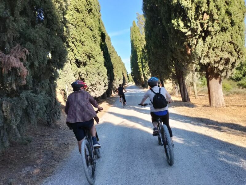 Rome:Appian Way E-Bike Tour With Catacombs, Aqueducts & Food - Experience Highlights