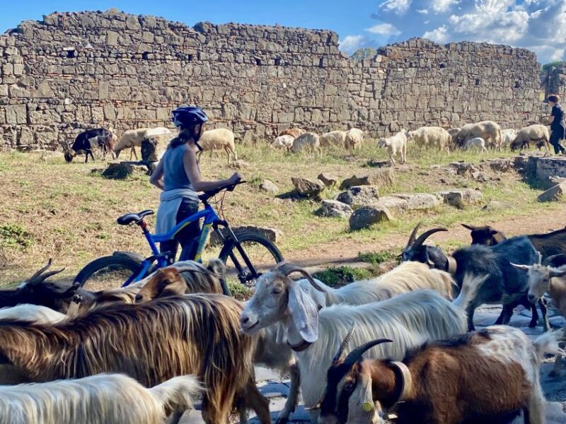 Rome:Appian Way E-Bike Tour With Catacombs, Aqueducts & Food - Parco Degli Acquedotti