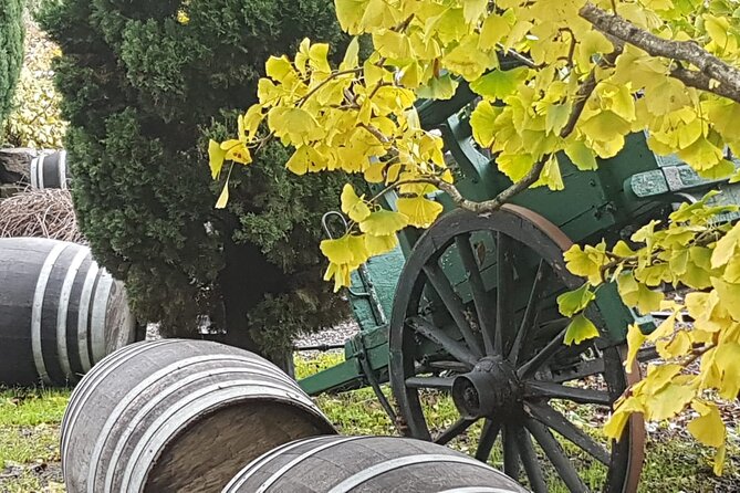 Romes Hidden Vineyards: Exclusive Private Winetasting - Company Background and Tenure