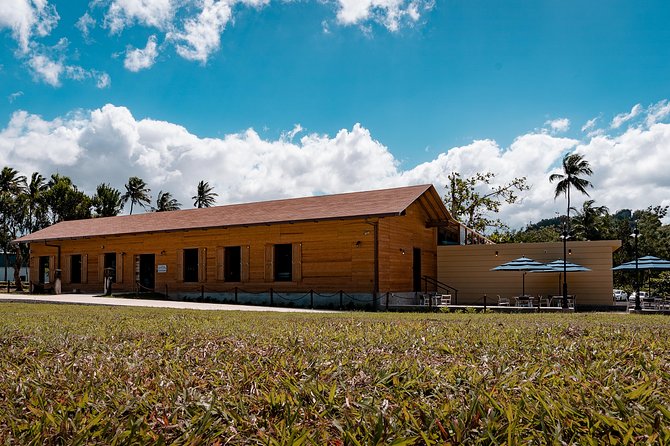 Ron Del Barrilito Heritage Skip-The-Line Tour - Rum-Making Process Insights