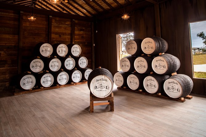 Ron Del Barrilito Rum Tasting Skip-The-Line Tour - Exceptional Rum Tasting Tour