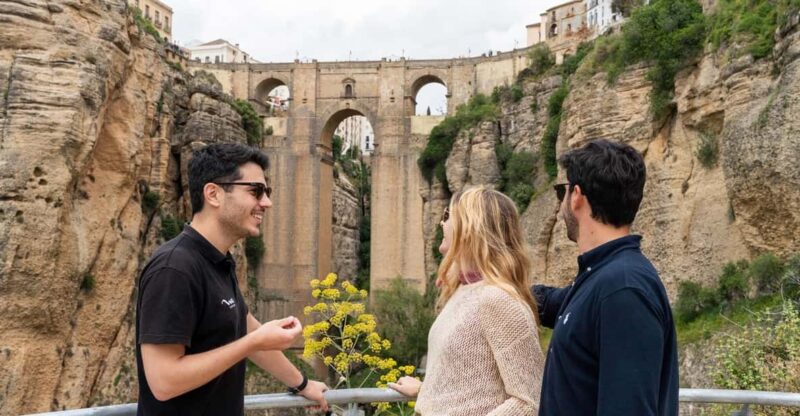 Ronda and Olive Oil Tasting: Small Group Tour From Malaga - Key Points