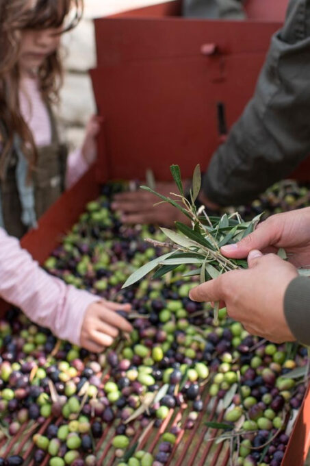 Ronda and Olive Oil Tasting: Small Group Tour From Malaga - Regional Specialties and Tastings