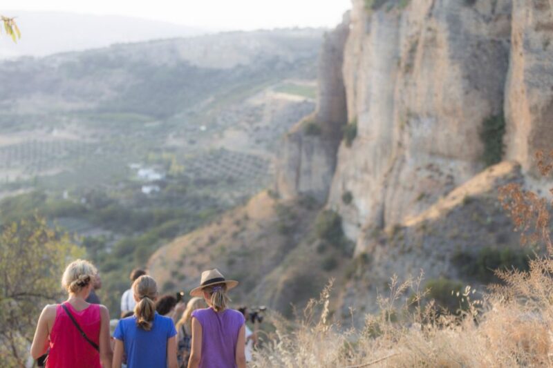 Ronda and Setenil Full Day - Cultural Significance of Wine