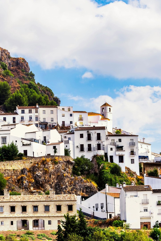 Ronda and White Villages: Small Group Day Trip Experience - Key Points