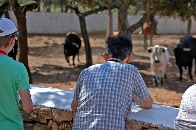 Ronda Nature Reserve Guided Tour - Highlights of the Guided Tour