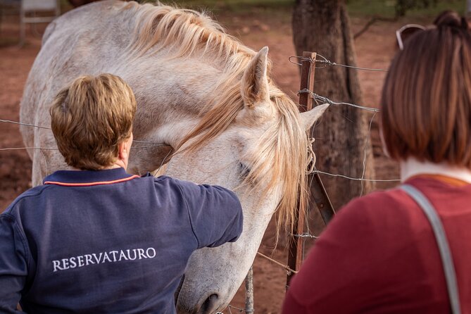 Ronda Nature Reserve Guided Tour - Policies and Cancellation Information