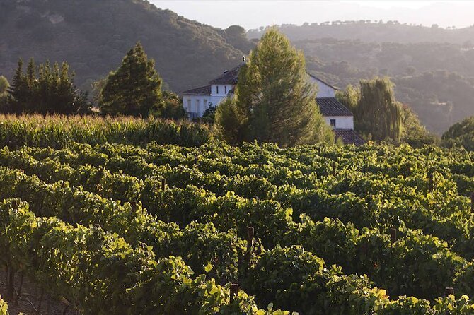Ronda Organic Wine Tour From Marbella - Customer Support and Company Info