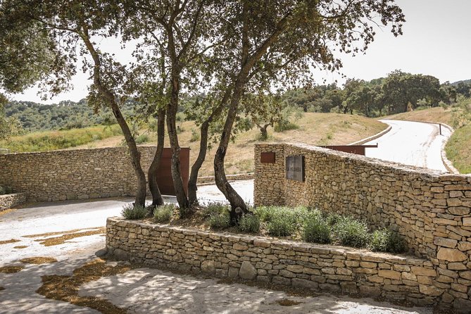 Ronda Private Full Day Wine Tour - Additional Information