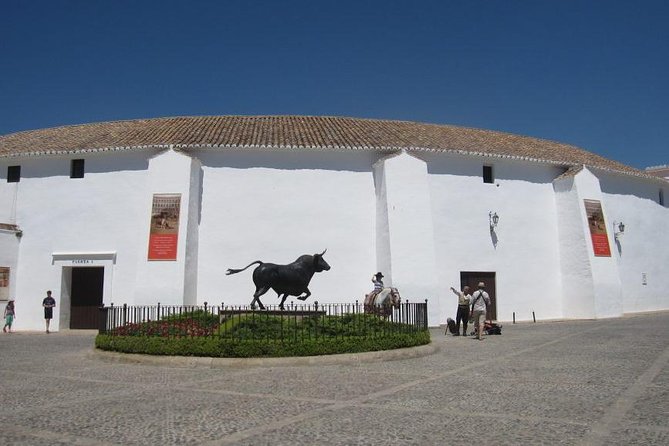 Ronda Private Tour From Seville - Physical Fitness Requirements