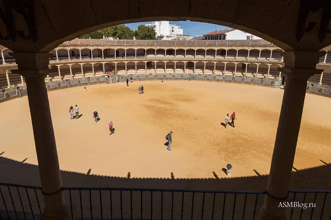 Ronda Private Tour From Seville - Accessibility Considerations