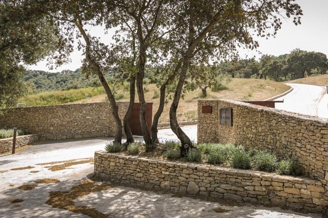Ronda Private Wine Tour and Tapas From Marbella - Organic Winery Exploration