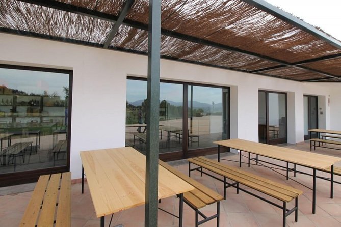 Ronda Private Wine Tour + Free Time in Ronda - Pickup and Itinerary