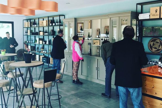 Ronda Private Wine Tour + Free Time in Ronda - Activities and Inclusions