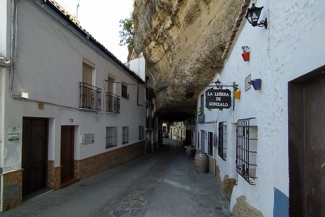 Ronda & Setenil De Las Bodegas, Land of Contrasts / Semi-Private - Tour Features and Accessibility