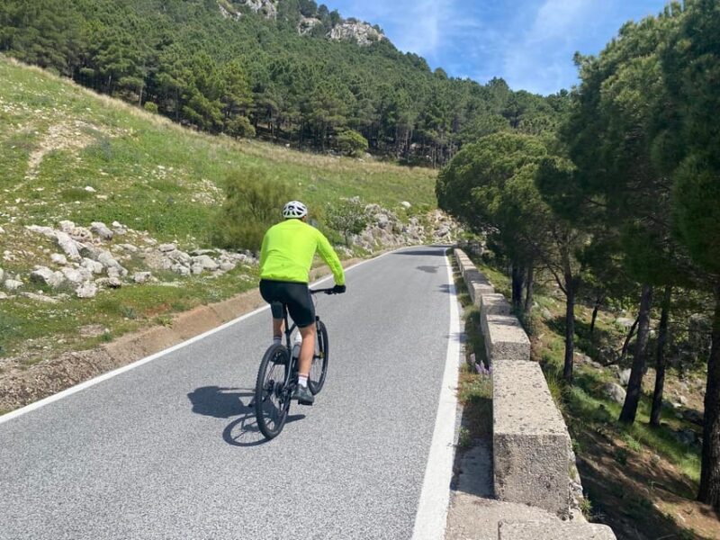 Ronda: Setenil Self-Guided Cycle Tour - Moderate Difficulty - Cycling Experience