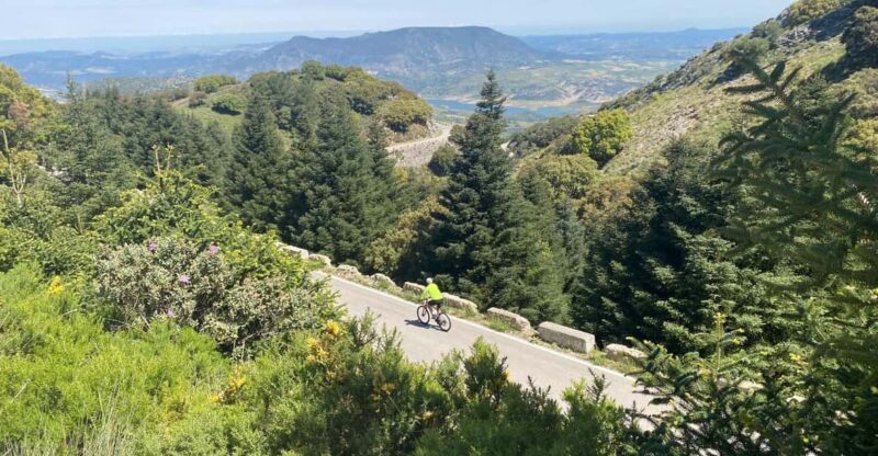 Ronda: The Palomas Pass Self-Guided Bike Tour - Key Points