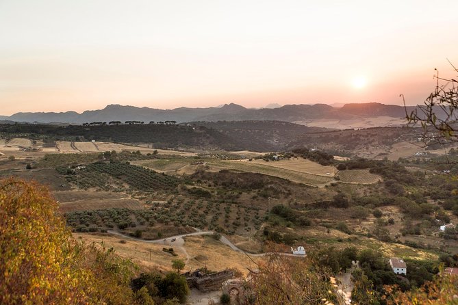 Ronda Village Guided Tour From Costa Del Sol - Transportation and Pickup Locations