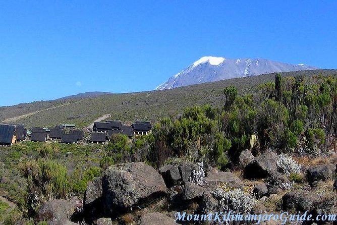 Rongai Route 6 Days 5 Nights/Kilimanjaro Climb - Meeting and Pickup