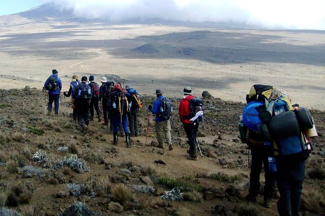 Rongai Route 6 Days 5 Nights/Kilimanjaro Climb - Additional Information